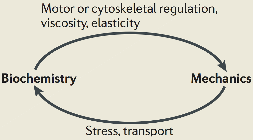 Howard, et al. image